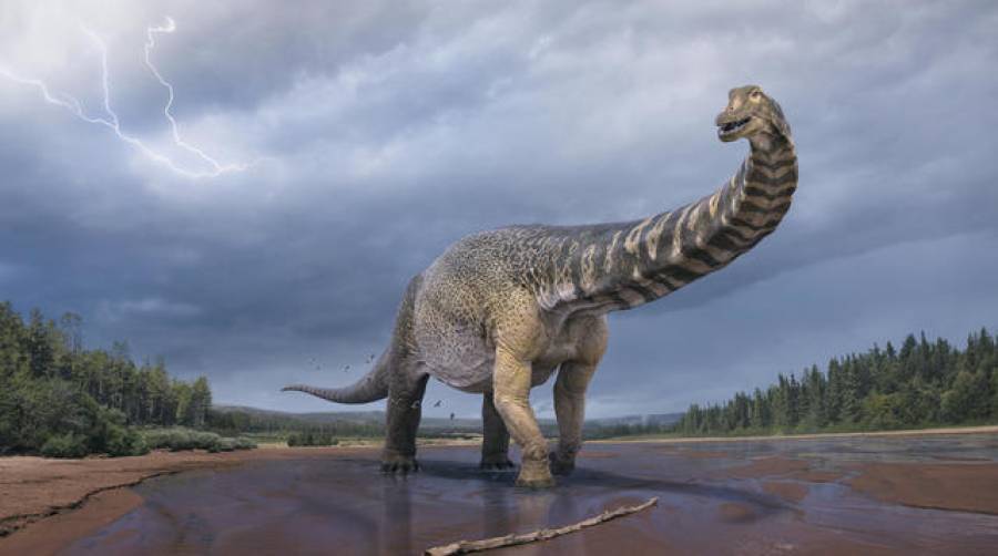 Νέο είδος δεινοσαύρου ανακαλύφθηκε στην Αυστραλία-Το μεγαλύτερο που βρέθηκε ποτέ