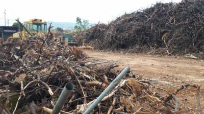 Απομακρύνονται οι 20.000 τόνοι ξύλα από οικόπεδο στο Μάτι