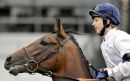 Ιπποδρομίες-ΑΕ: Η Hayley Turner στην παρουσίαση της GBI-Racing στο Μαρκόπουλο