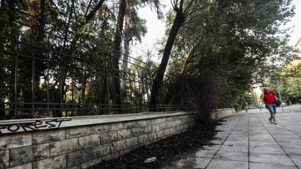 Σύλληψη 27χρονου για απόπειρα εμπρησμού στο Πεδίον του Άρεως