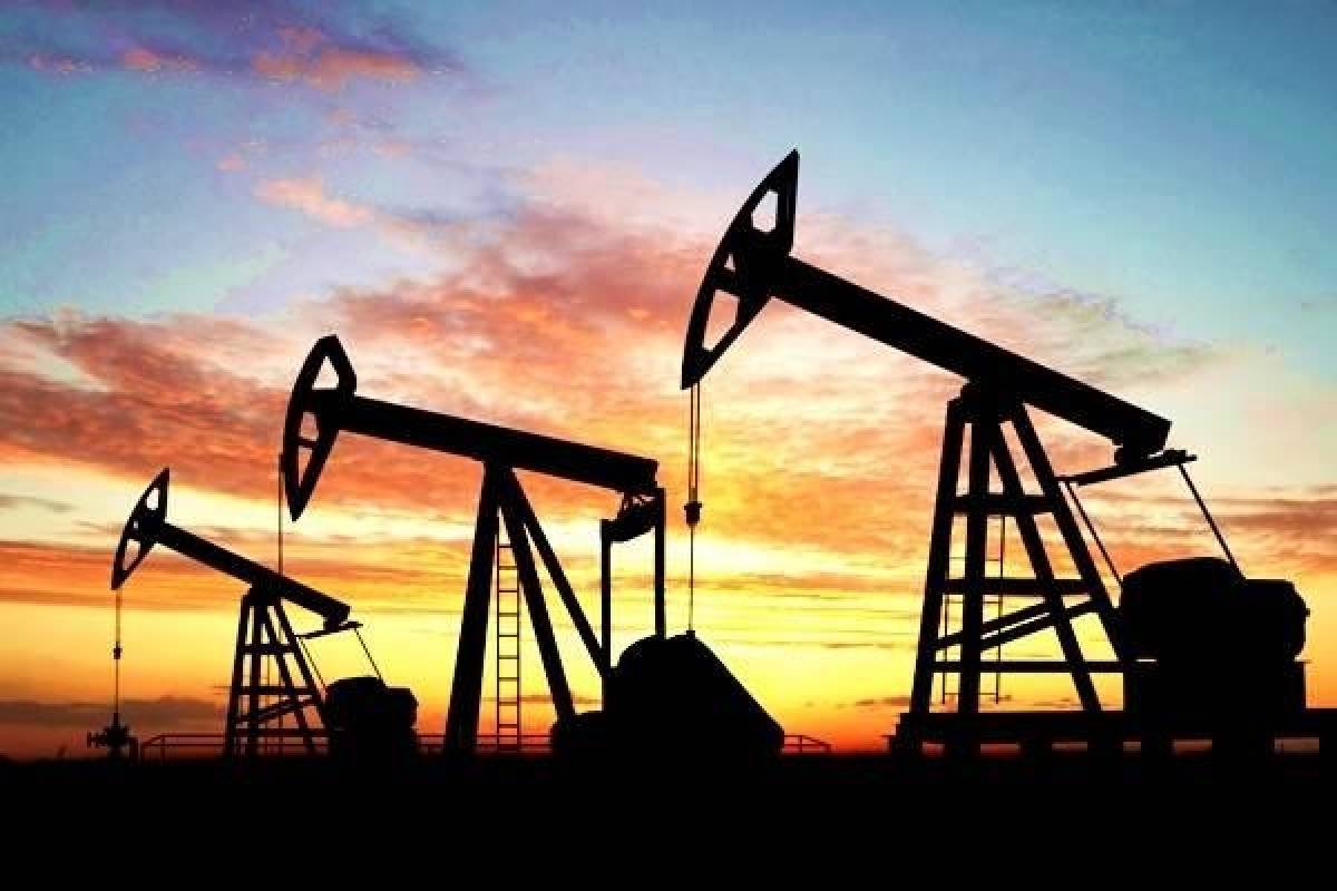 Θετική πορεία για το αργό