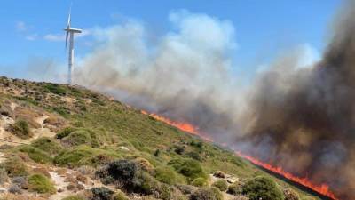 Πυρκαγιά στα Μεσοχώρια Ευβοίας - Εκκενώθηκε η περιοχή