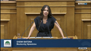Βατσινά: Ωδή αντισυνταγματικότητας το νομοσχέδιο για την Ψυχιατρική Μεταρρύθμιση