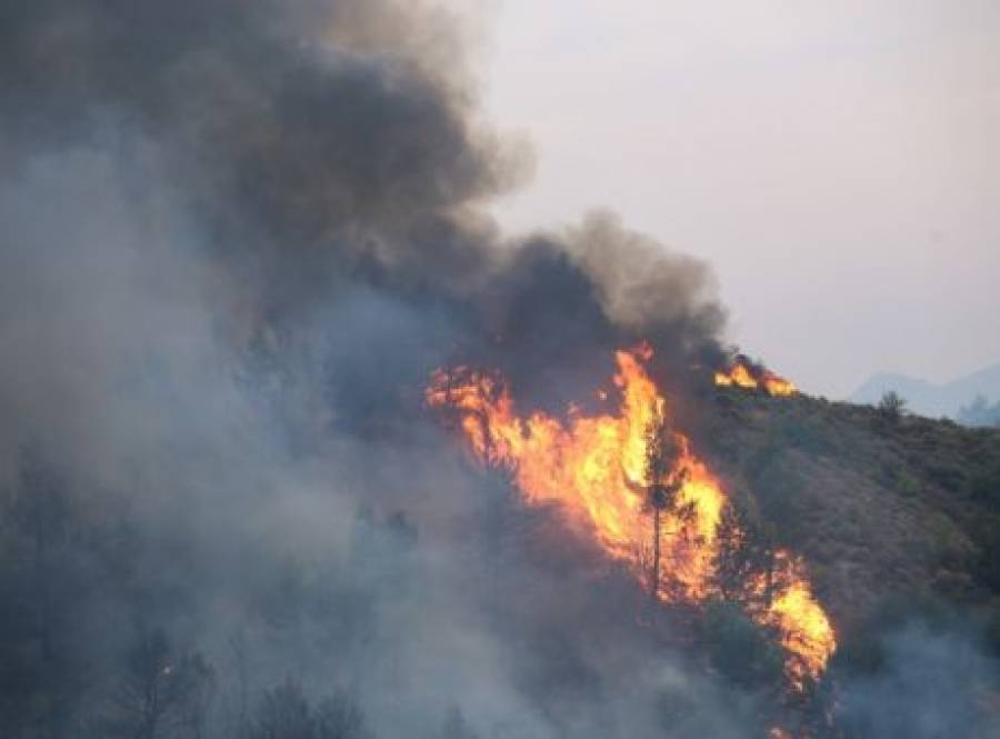 Φωτιά στην Αττική: Εκρήξεις σε εργοστάσιο- Εκκενώνονται Πολυδένδρι και Καπανδρίτι
