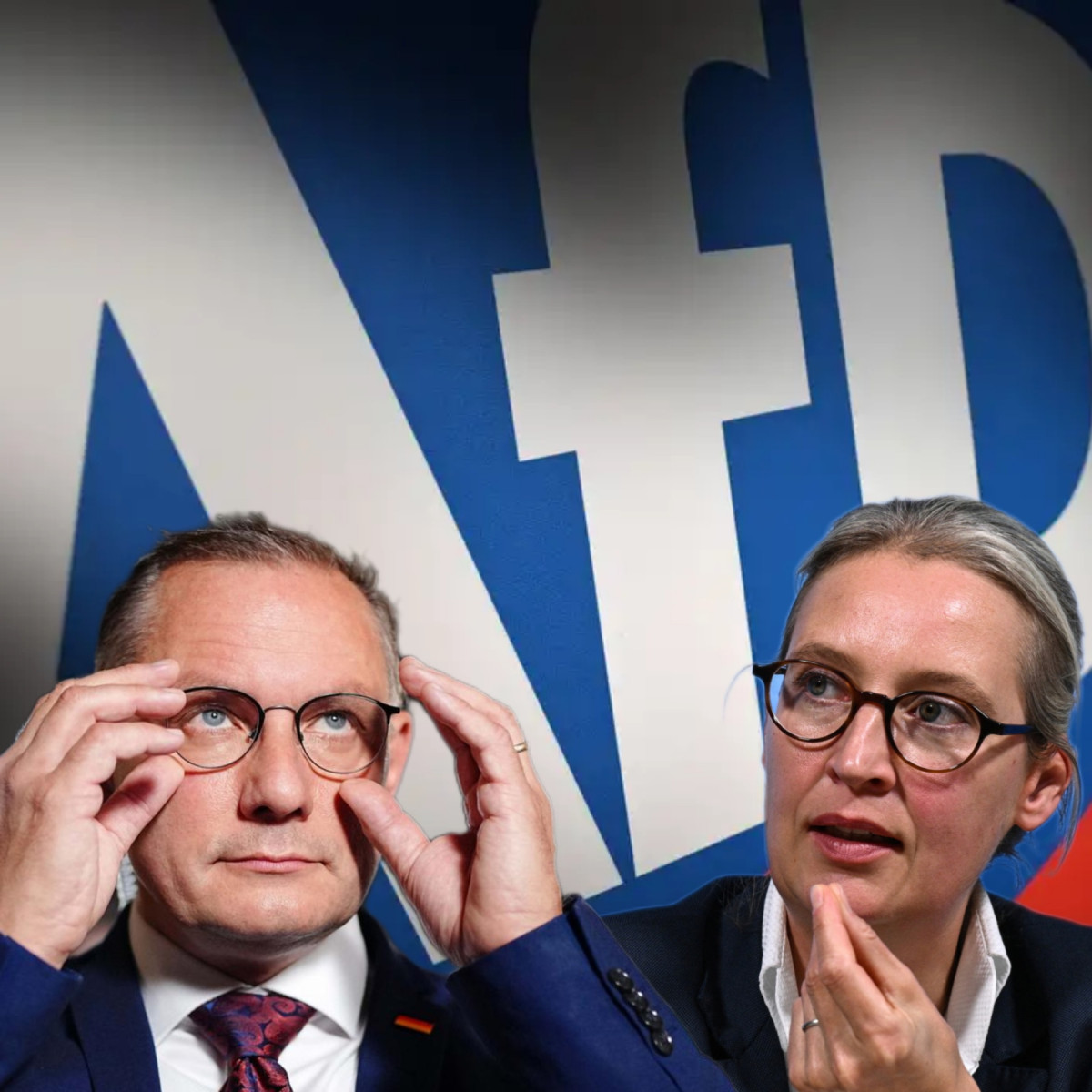 Γερμανία: Επιβεβαιωμένα εξτρεμιστικό το AfD-Το ιστορικό και η επόμενη μέρα