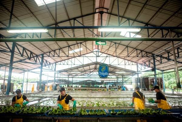 Chiquita:Γιορτάζει την Παγκόσμια Ημέρα Νερού με πρωτοβουλίες εξοικονόμησης υδάτινων πόρων