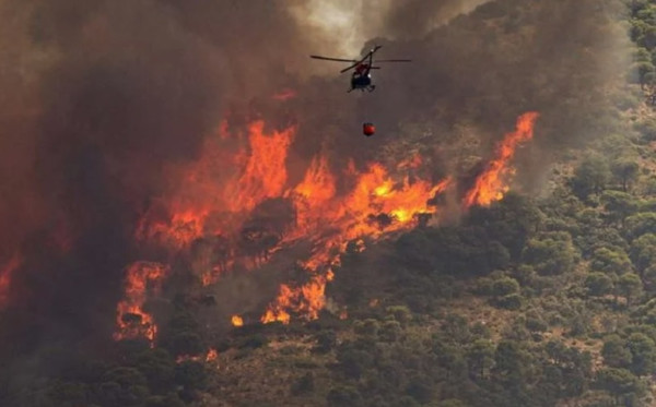 Πυρκαγιές: Προβληματίζει η Δαδιά-Αναζητούνται δύο ύποπτοι για εμπρησμό στην Εύβοια