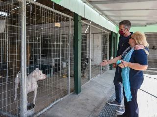 Δήμος Αθηναίων: Παγκόσμια Ημέρα των Ζώων στο Καταφύγιο του Σωκράτη