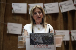Το κόμμα της Καρυστιανού