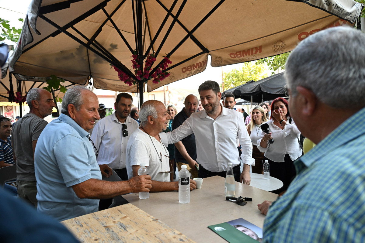Ανδρουλάκης: Στασιμότητα και φθορά τα επτά χρόνια της Νέας Δημοκρατίας