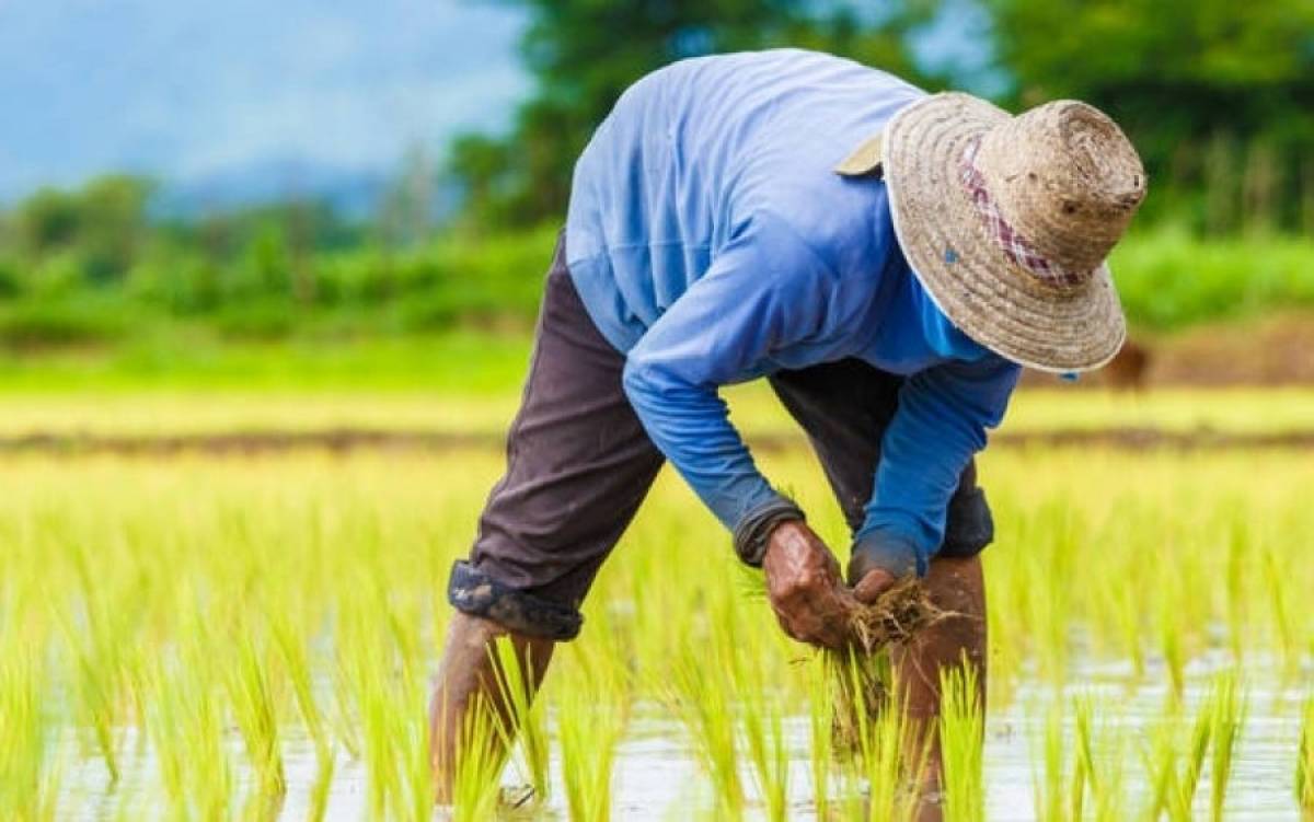 Εξισωτική αποζημίωση: Ξεκινούν οι ενστάσεις κατά των αποτελεσμάτων της πληρωμής