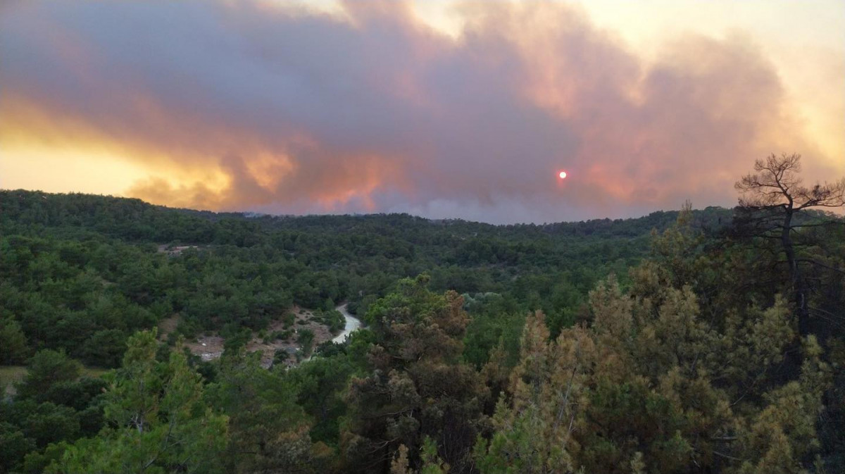 ΥΠΕΝ: Αρχίζει η οικολογική αποκατάσταση του Εθνικού Πάρκου Δάσους Δαδιάς