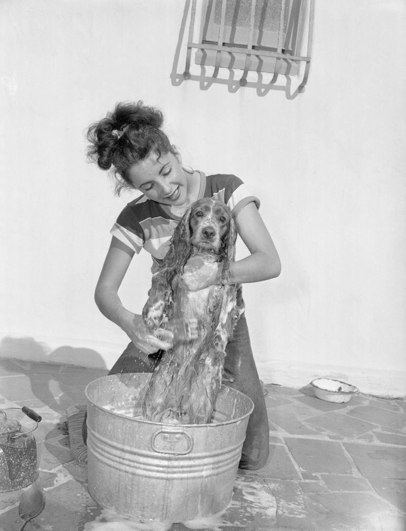 Η 17χρονη Ελίζαμπεθ Τέιλορ παίζει ανέμελα με το σκύλο της...
