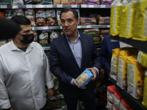 Γεωργιάδης: Ψήφος εμπιστοσύνης οι δηλώσεις Στουρνάρα για το «καλάθι νοικοκυριού»