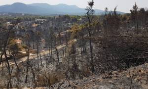 2021: Κάηκαν όσα στρέμματα κάηκαν τα προηγούμενα οκτώ!