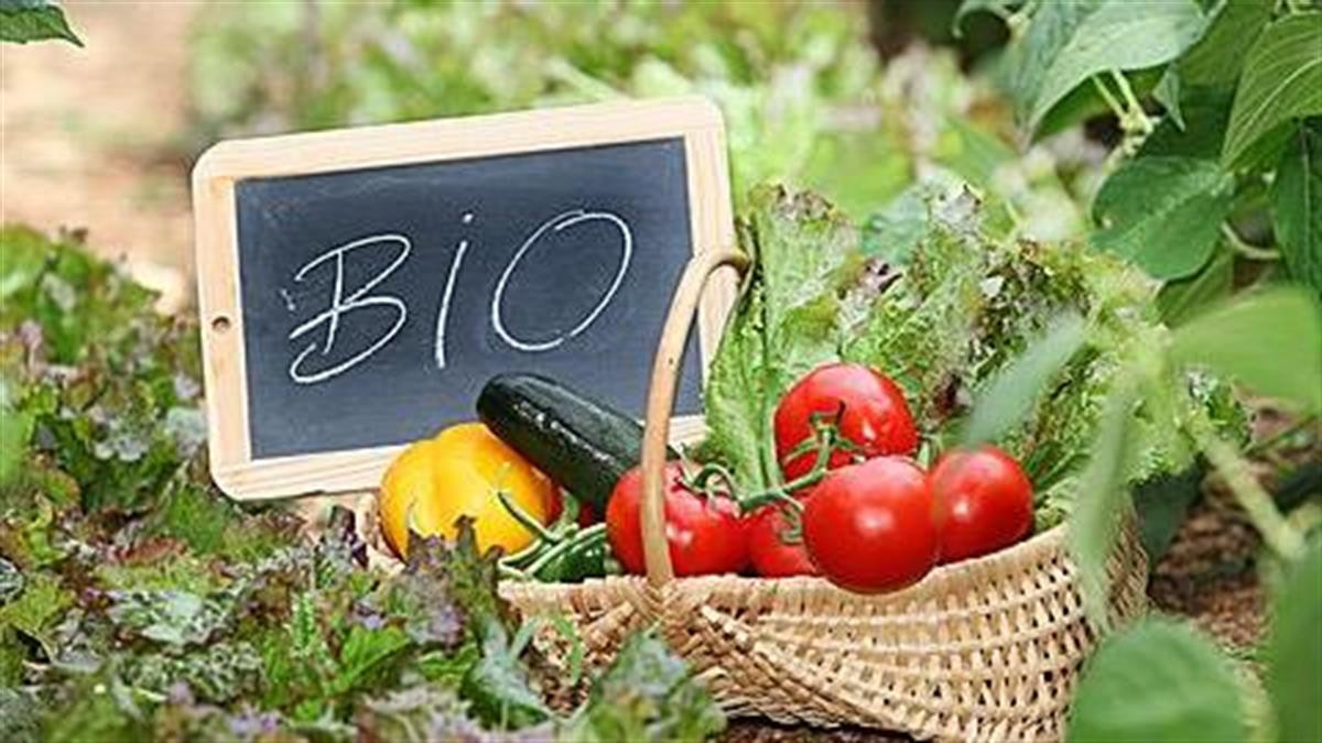 Εισαγγελική έρευνα για δύο εταιρείες πιστοποίησης βιολογικών προϊόντων μετά από καταγγελίες