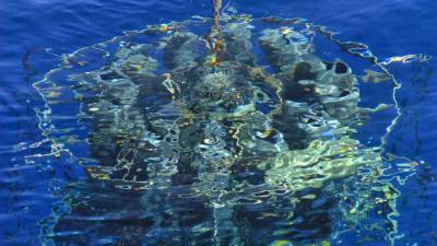 Σύνοδος ΟΗΕ για το Κλίμα: Μειώνεται το οξυγόνο στις θάλασσες