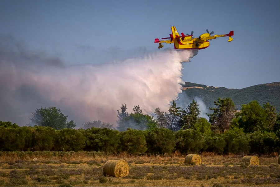 Πυρκαγιά σε χαμηλή βλάστηση στο Παλαιοχώρι Φθιώτιδας - Ισχυρές δυνάμεις πυρόσβεσης στο σημείο