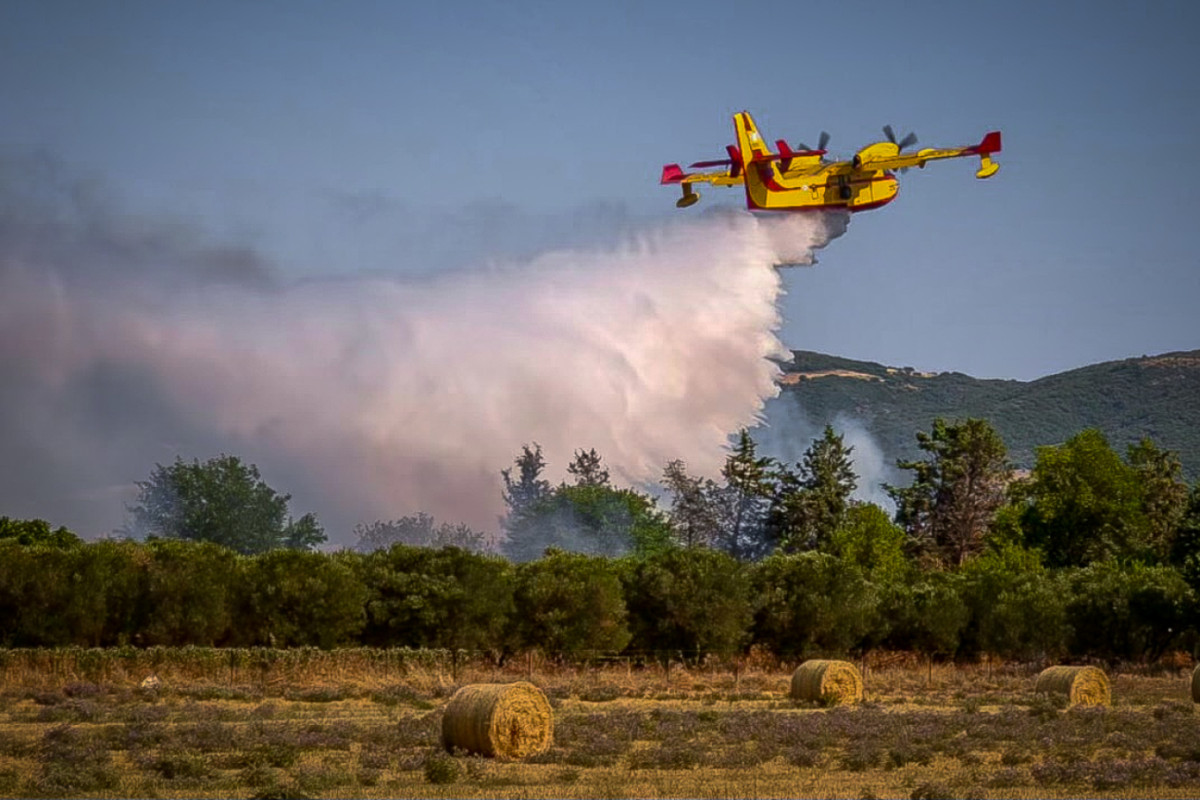 Πυρκαγιά σε χαμηλή βλάστηση στο Παλαιοχώρι Φθιώτιδας - Ισχυρές δυνάμεις πυρόσβεσης στο σημείο