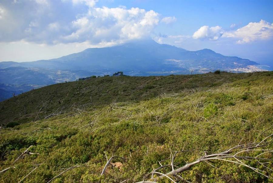 ΥΠΕΝ: Δεν αποτελούν δάση οι εκτάσεις με φρύγανα και ασπάλαθους