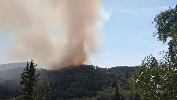Φωτιά στη Βραυρώνα Αττικής