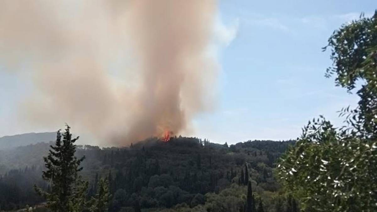 Φωτιά στη Βραυρώνα Αττικής