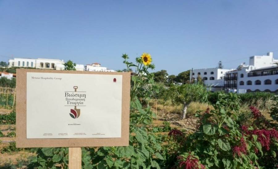 Metaxa Hospitality Group: Ο πρώτος Όμιλος φιλοξενίας στην Ελλάδα με πιστοποιημένες βιολογικές-αναγεννητικές γαίες