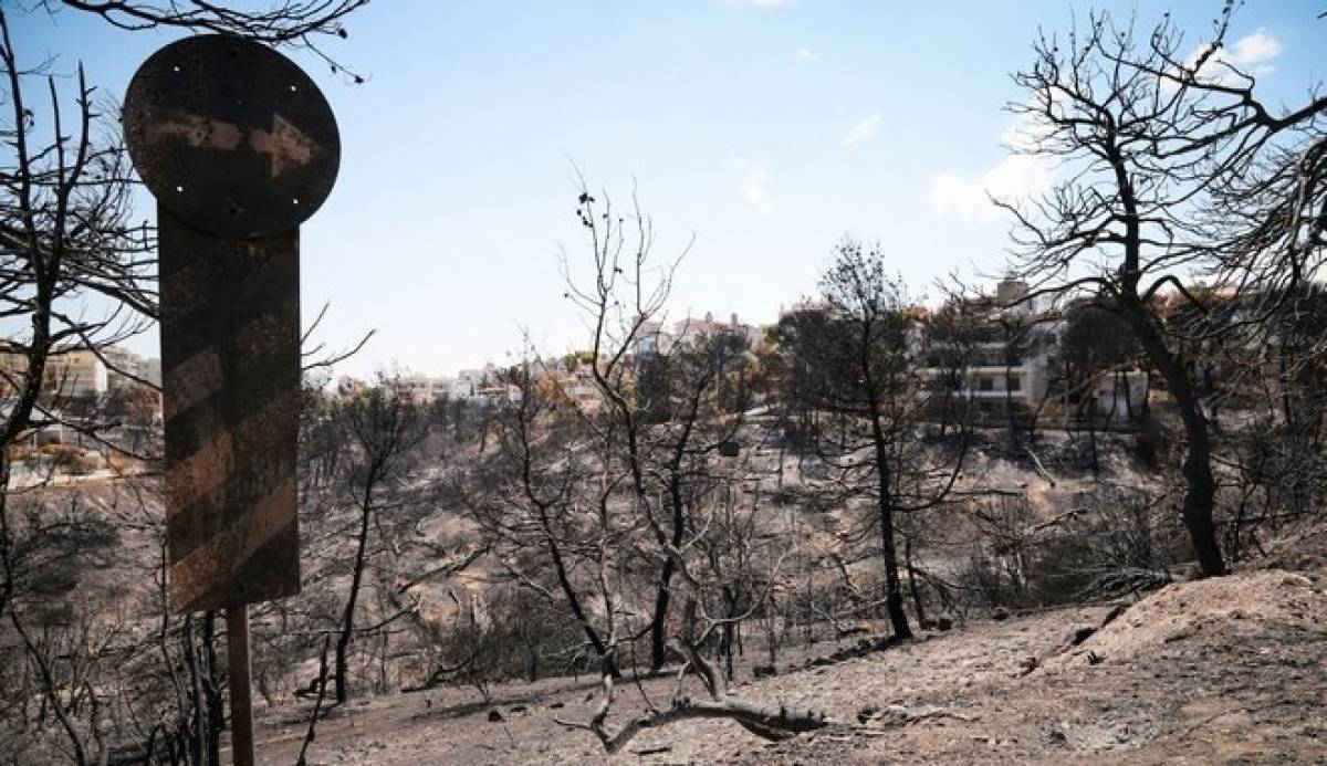 Πυρόπληκτοι: 569 νοικοκυριά και 30 επιχειρήσεις έχουν λάβει το επίδομα