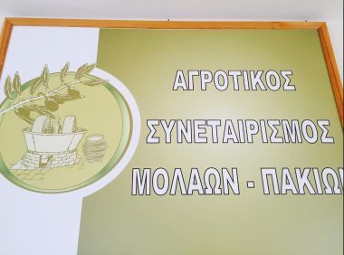 ΑΣ Μολάων: Στην τριάδα των «πρωταθλητών» παραγωγής ελαιολάδου