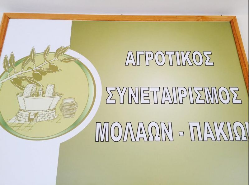 ΑΣ Μολάων: Στην τριάδα των «πρωταθλητών» παραγωγής ελαιολάδου