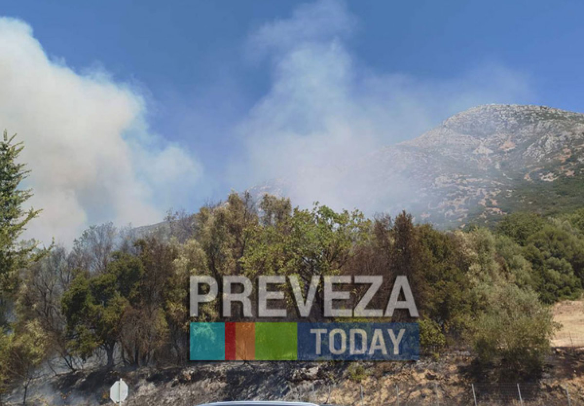Φωτιά στο Αηδόνι Πρέβεζας - Μήνυμα 112 για ετοιμότητα των κατοίκων