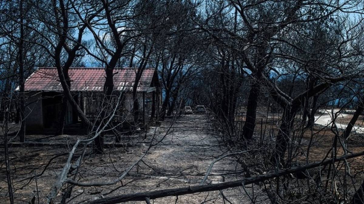 Πόρισμα «φωτιά» για το Μάτι-Ελλείψεις και προτάσεις για την πυροπροστασία