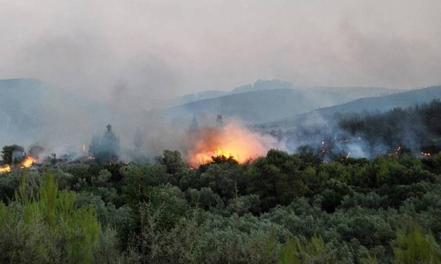 Φωτιά σε δασική έκταση στον Αγαλά Ζακύνθου