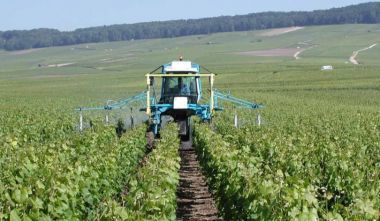 ΕΛΣΤΑΤ: Στα 10,58 δισ. ευρώ η αγροτική παραγωγή