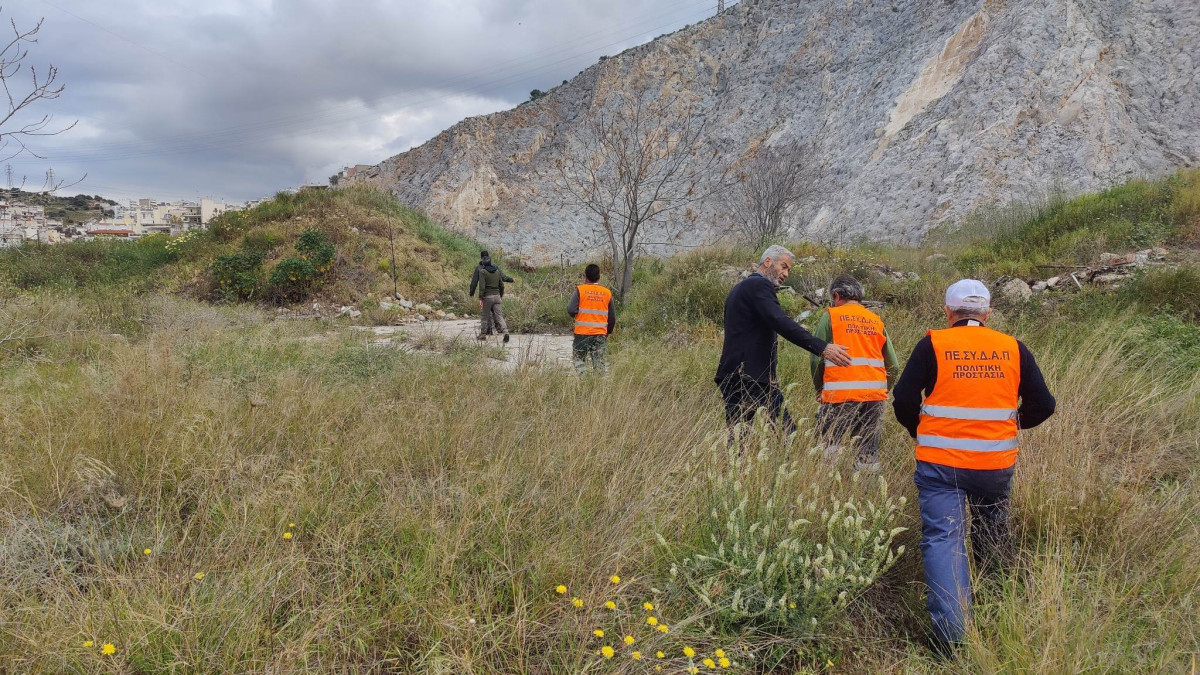 Σωτήρια επέμβαση για τα πουλιά του όρους Αιγάλεω, από τον ΠΕΣΥΔΑΠ