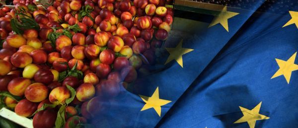 Την ερχόμενη εβδομάδα τα ευρωπαϊκά μέτρα στήριξης φρούτων και λαχανικών