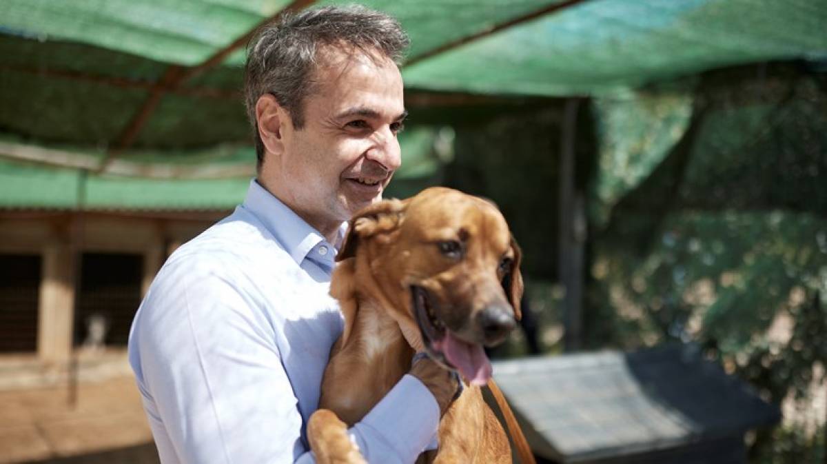 Μητσοτάκης: Κανένα ζώο αδέσποτο, κανένα ζώο κακοποιημένο
