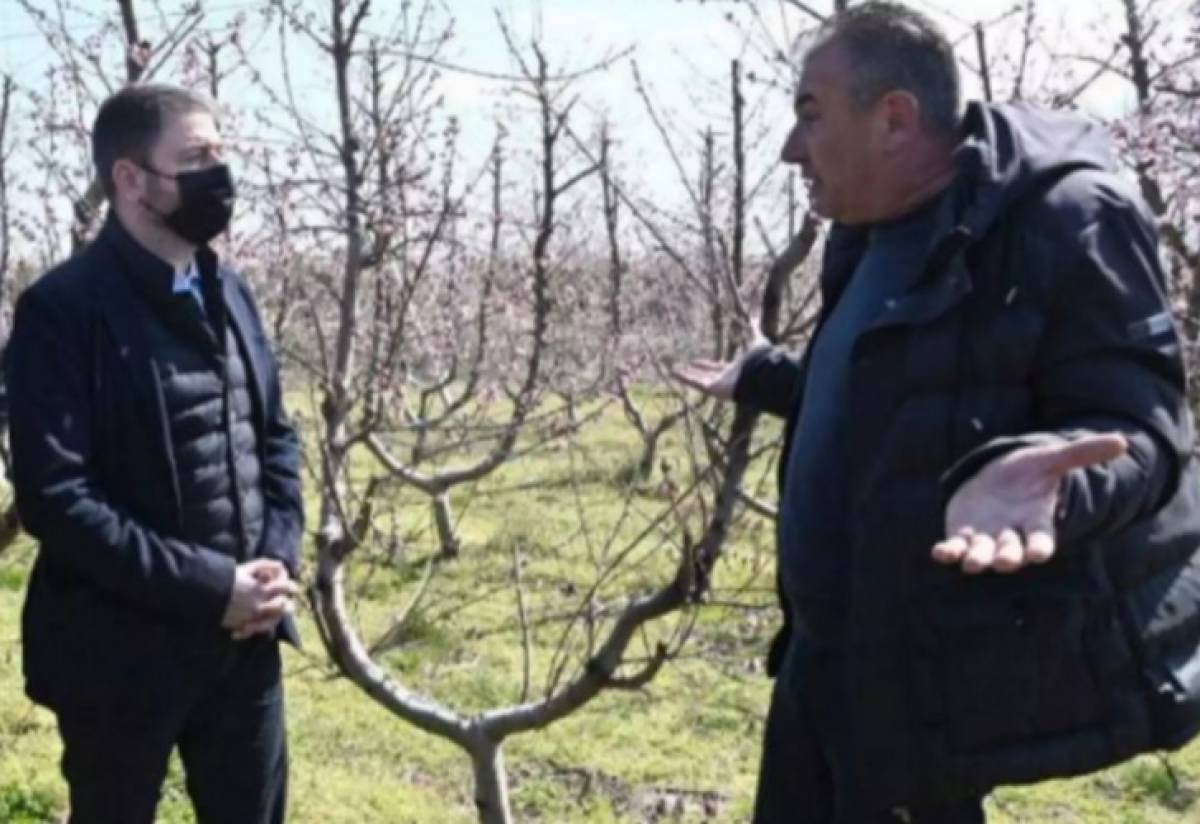 Ανδρουλάκης:Ο κ.Μητσοτάκης δεν μπορεί να θυμάται το λεφτόδεντρο αλά καρτ