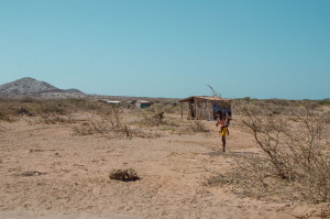 Το El Niño είναι εδώ και ενισχύεται ραγδαία - Τι σημαίνει αυτό για τον καιρό