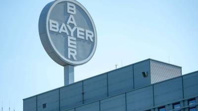 Bayer Ελλάς: Πρόγραμμα Level-up για νεοφυείς επιχειρήσεις