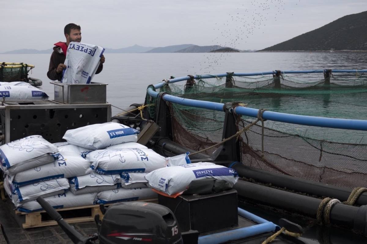 Υποχρεωτική δημόσια πρόταση από Andromeda Seafood για μετοχές της Περσεύς