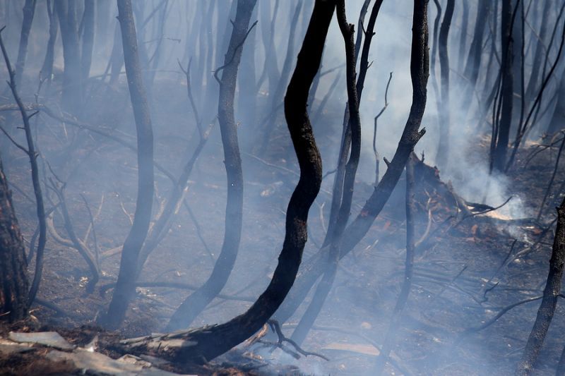Κυβερνητικό κλιμάκιο μεταβαίνει στη Ζάκυνθο για αυτοψία της καταστροφής