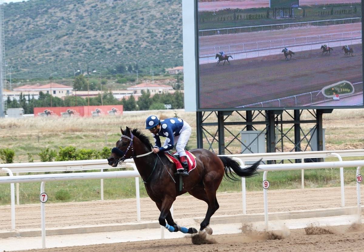 Markopoulo Park:Εντυπωσιακές κούρσες, ενισχυμένο Γκανιάν και εκπλήξεις για την οικογένεια