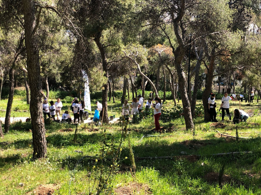 Δενδροφυτεύσεις σε Λυκαβηττό και Στρέφη πραγματοποιεί ο Δήμος Αθηναίων