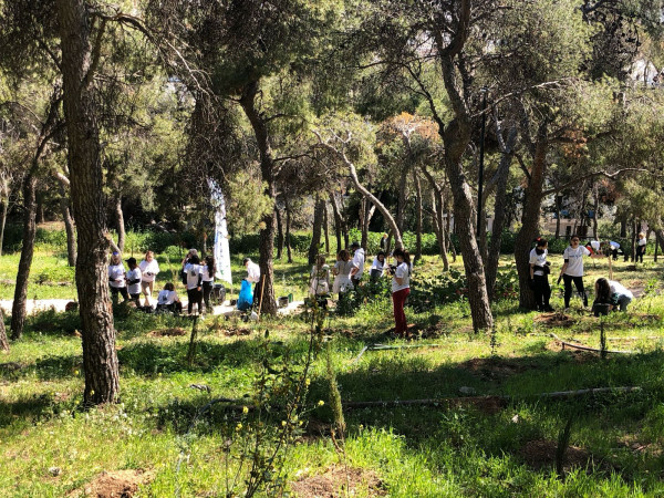 Δενδροφυτεύσεις σε Λυκαβηττό και Στρέφη πραγματοποιεί ο Δήμος Αθηναίων