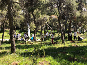 Δενδροφυτεύσεις σε Λυκαβηττό και Στρέφη πραγματοποιεί ο Δήμος Αθηναίων