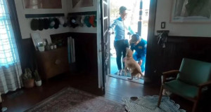 Από τη Σελήνη… στην αγκαλιά της Sadie: Η αστροναύτης του Artemis II βλέπει το σκυλάκι της μετά από μέρες