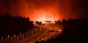 WWF Ελλάς: Δέκα προτάσεις για την επαύριο των πυρκαγιών