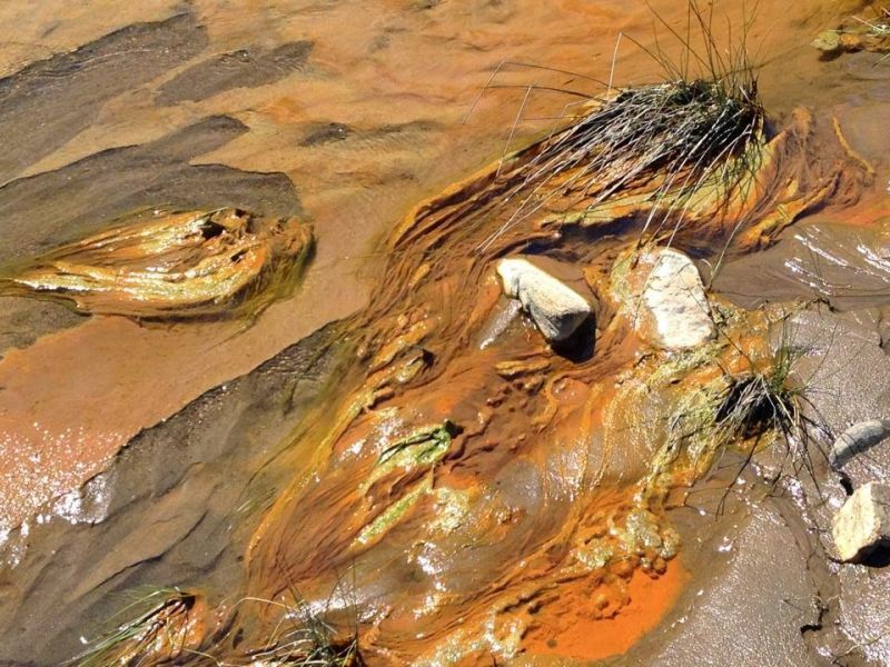 Αναστέλλεται η λειτουργία της «Ελληνικός Χρυσός» στις Σκουριές