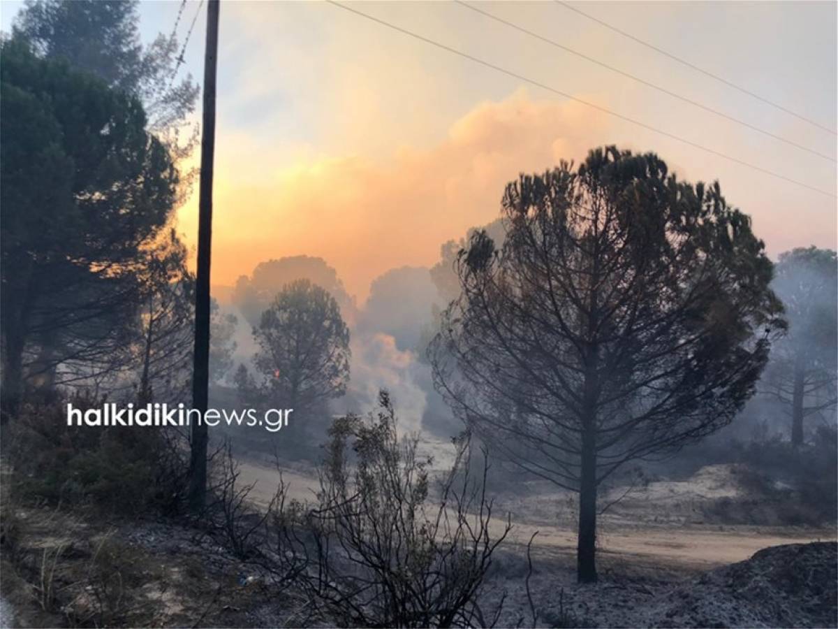 Ανεξέλεγκτη μαίνεται δασική πυρκαγιά στη Χαλκιδική